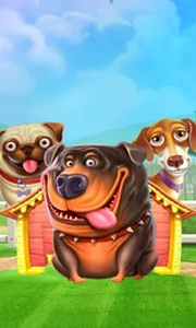 The Dog House