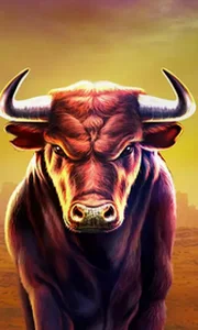 Black Bull