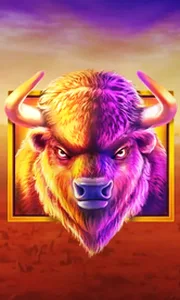 Buffalo King
